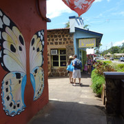 P1070466