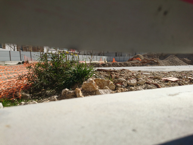 DSC 2202