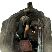 barco-leon.png