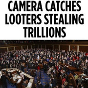 Looters-Trillions