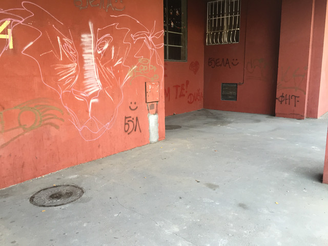 IMG-3202.jpg