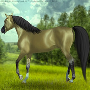 Webp-net-compress-image-82