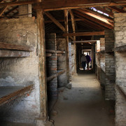 IMG-5883