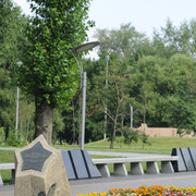 DSC5489