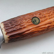 IMG-2821