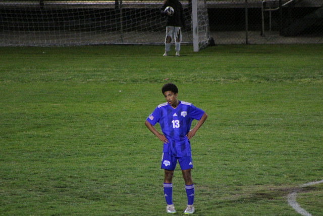 IMG-0202.jpg