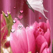 5.gif