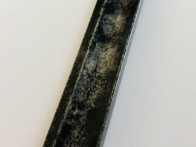 IMG-E5128.jpg