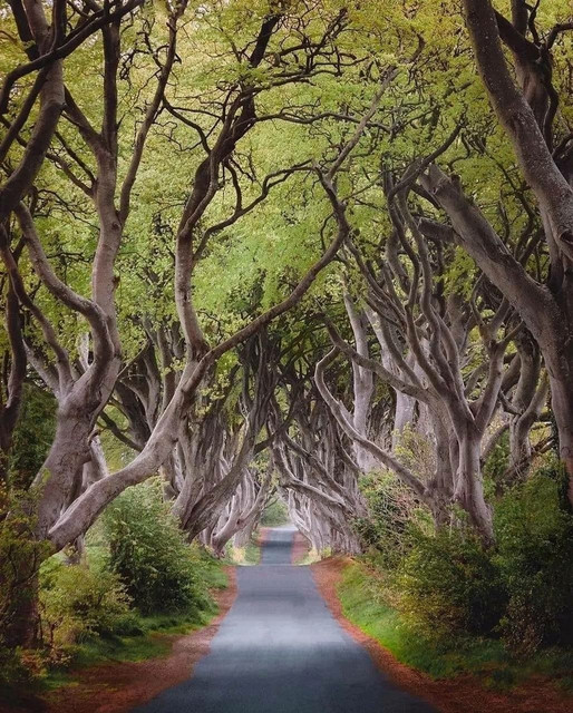 Ireland