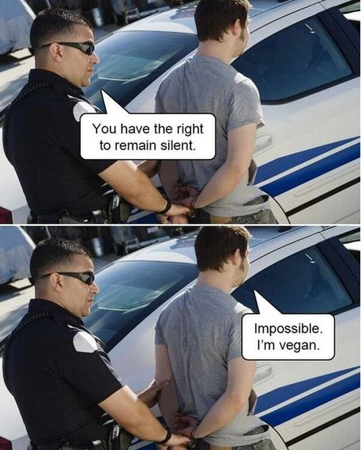 22ve.jpg