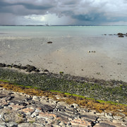 IMGP1093