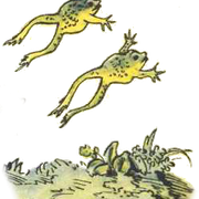 555