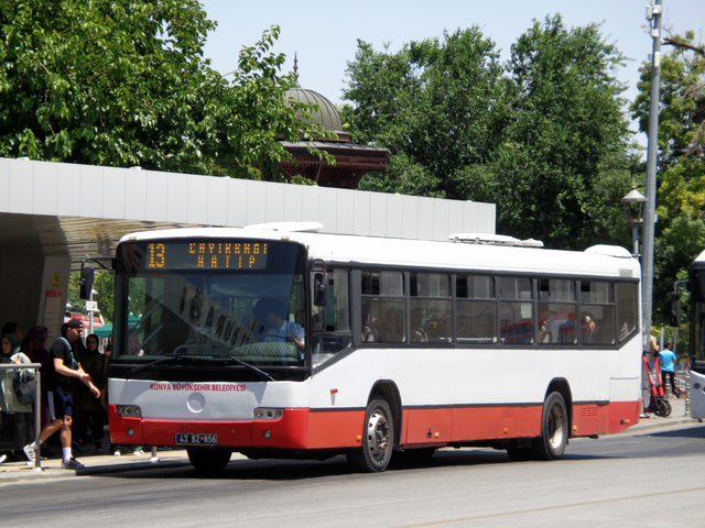 IMG-6339