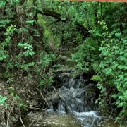 1fc90c85b53bd4dec3c72e9111036974.gif