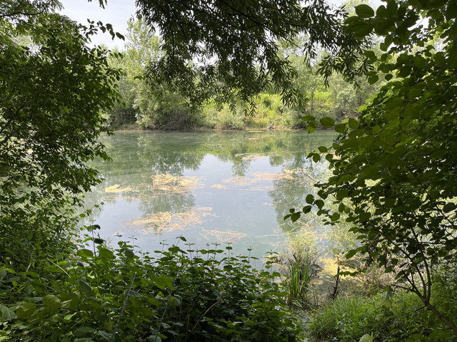 IMG-1512
