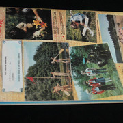 IMG-7601