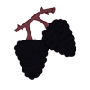 Blackberry Bundle Icon Flipped.png