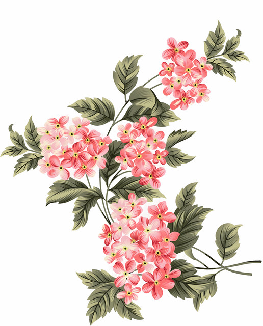 6dccfd27cc97cd06911ff3cfd33d704f-1.jpg