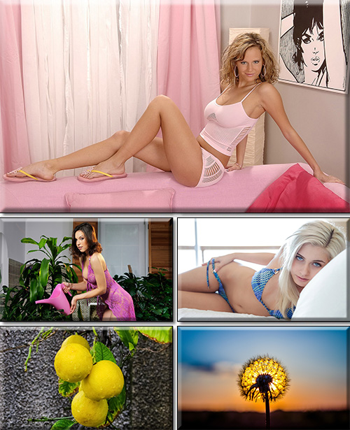 Computer Desktop Wallpapers Collection. Part 3106