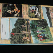 IMG-7600
