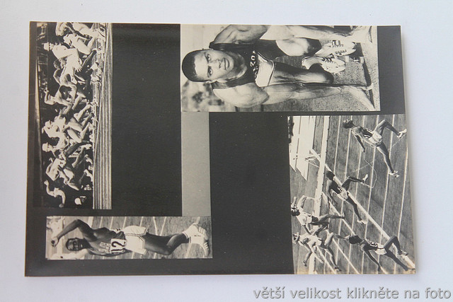 IMG-0293.jpg