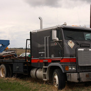 Freightliner-COE