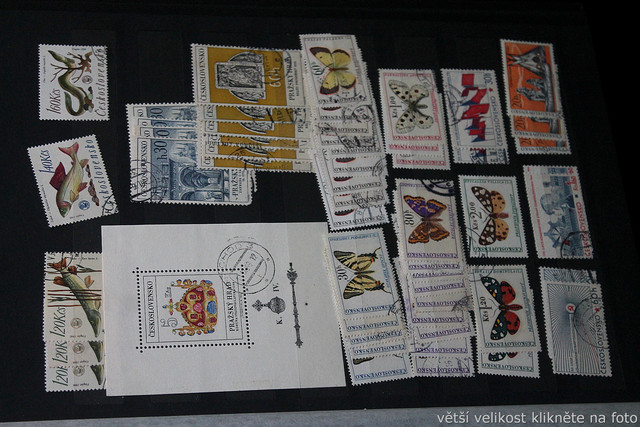 IMG-7000