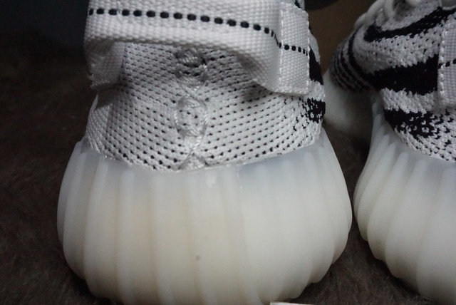 DSC01565.jpg