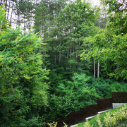 IMG-20210715-200316