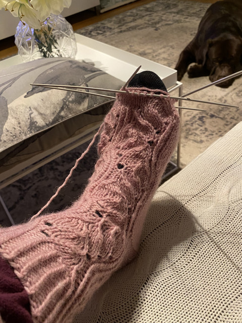 02-A48-ABE-75-B5-46-FE-BC3-C-683-DCE95-F