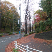 IMG-20221121-104413