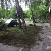 IMG-5538