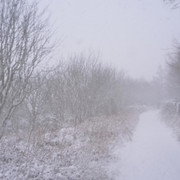 DSCF7439