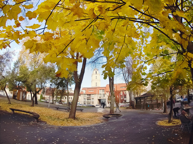 OLYMPUS-DIGITAL-CAMERA.jpg