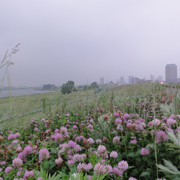 2011-05-13-33