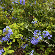 IMG-1576