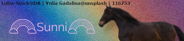 Sunnibanner
