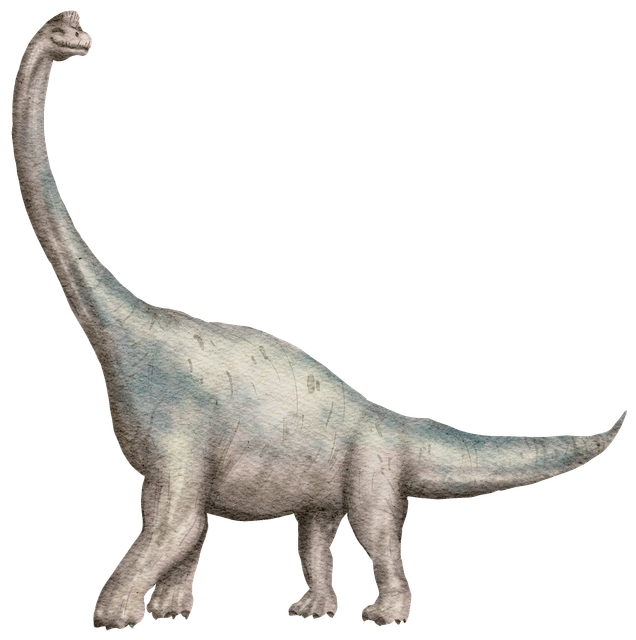 DINO-12