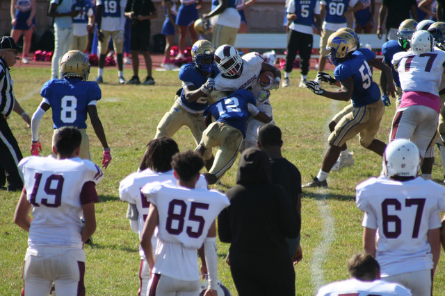 IMG-1251.jpg