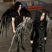 Fallen-Angels-Broken-Wings