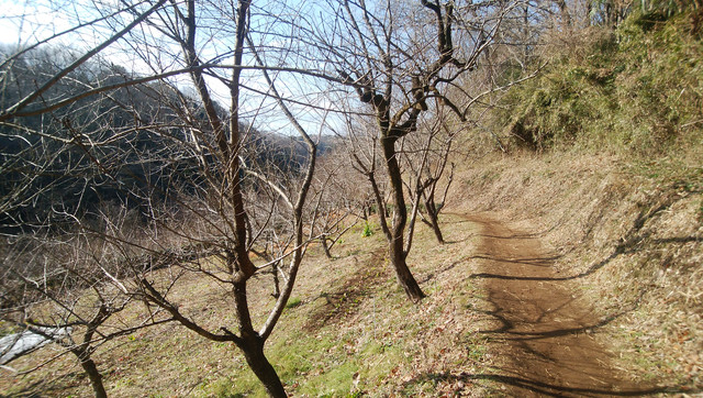 IMG-20230118-101427
