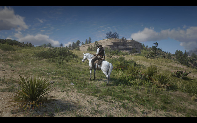 rdr2n011