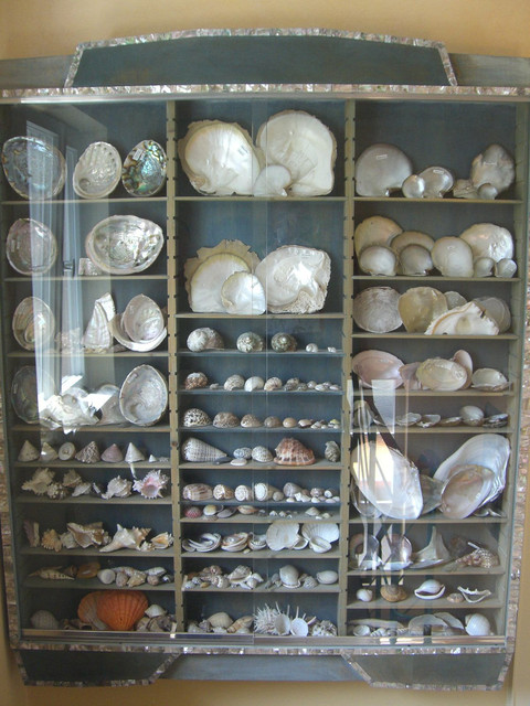 CIMG0207.jpg