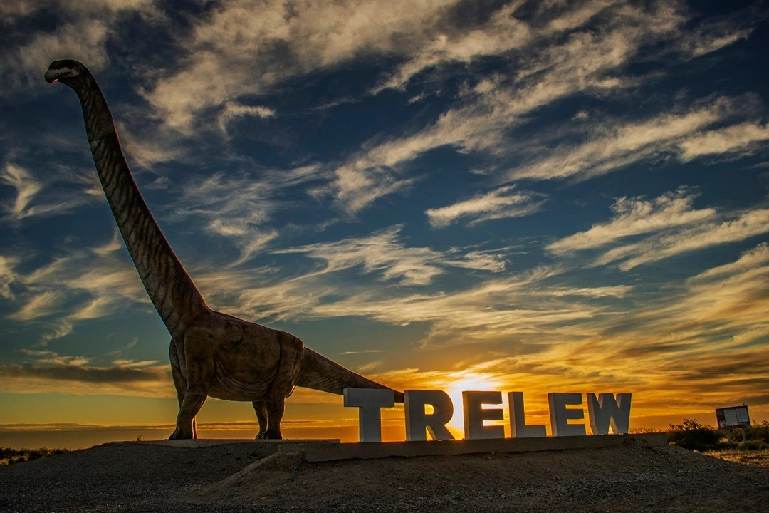 Desarrollo web en Trelew