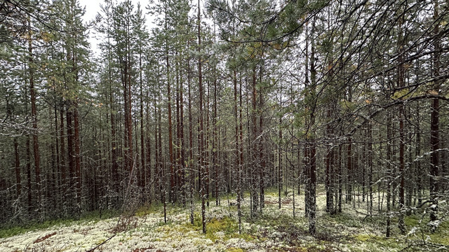 IMG 5253.jpg