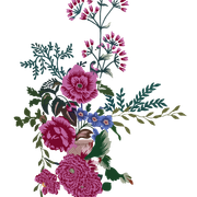 7a773d7eb2f3d2f8a7a698949b6fcecc