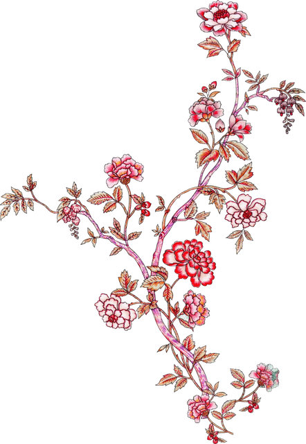 nohat-bg-removed-e3d259fc.png