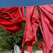 IMG20201105140004