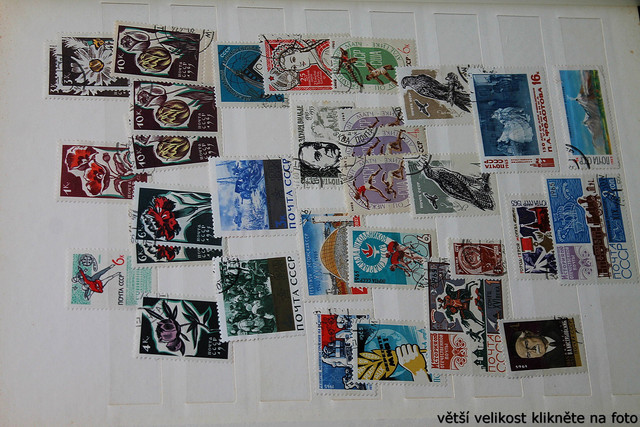 IMG-3025.jpg