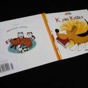 IMG-9325